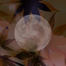 Shine On Harvest Moon