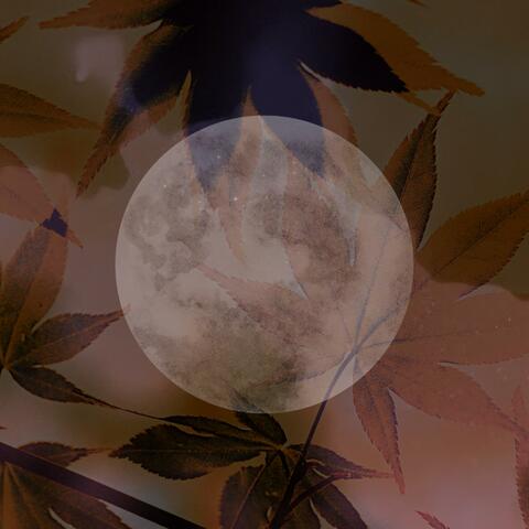 Shine On Harvest Moon