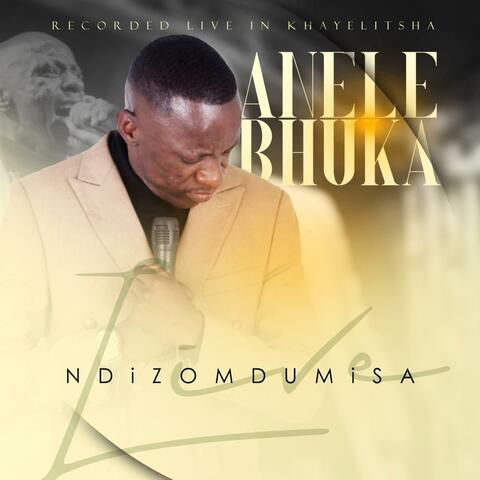 Ndizomdumisa