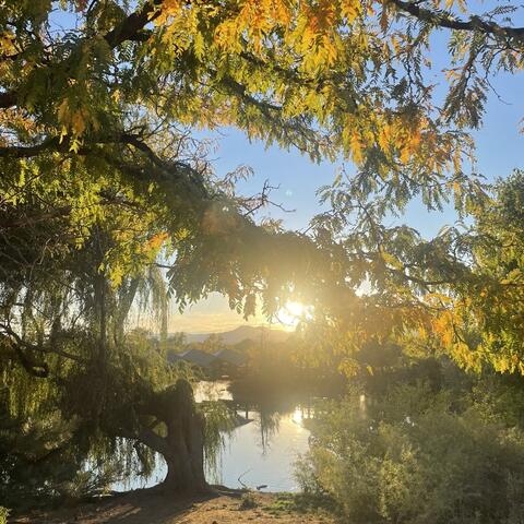 Autumn (feat. ttayy)