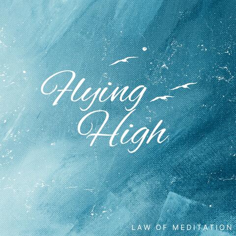 Flying High