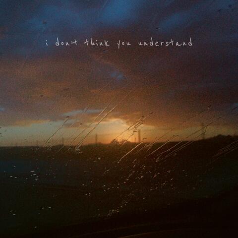 i don't think you understand