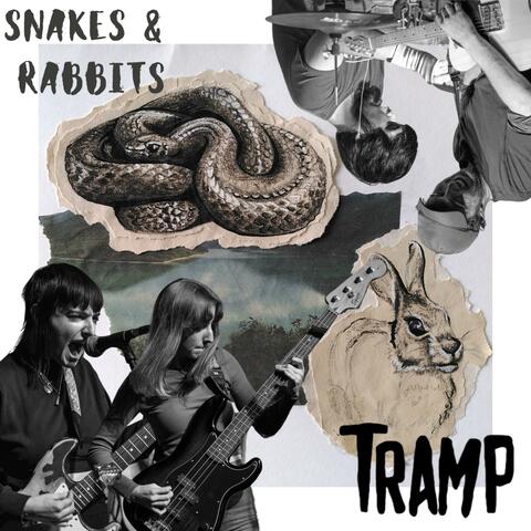Snakes & Rabbits