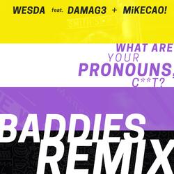 What Are Your Pronouns? (feat. DAMAG3 & MiKECAO!)