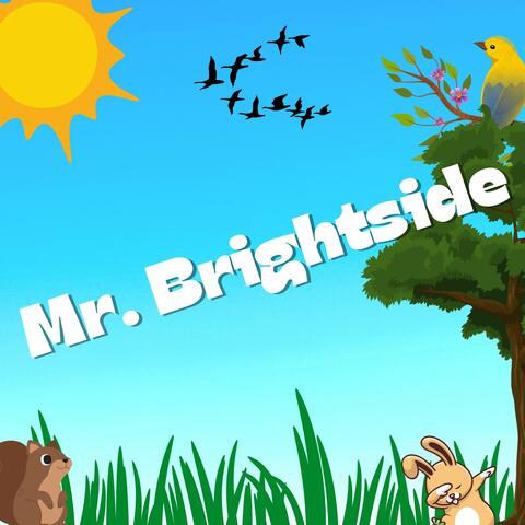 Mr. Brightside