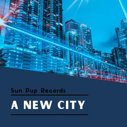 A New City
