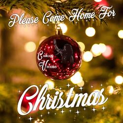Please Come Home For Christmas