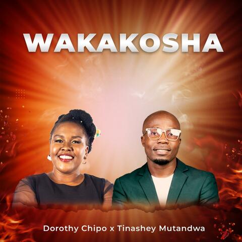 Wakakosha (feat. Tinashe Mutandwa)