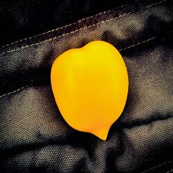 Not in Love
