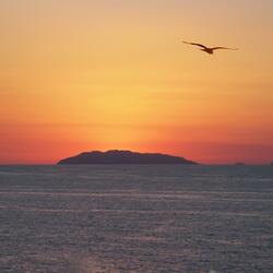 Nessun uomo è un'isola (dedicata a C.)
