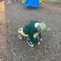 an obsession is on the loose.