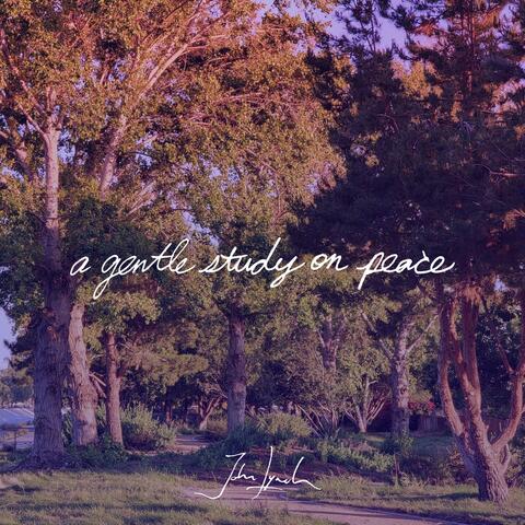 A Gentle Study on Peace
