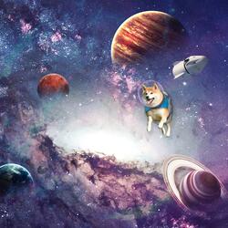 Astro Shiba Sleep Mode