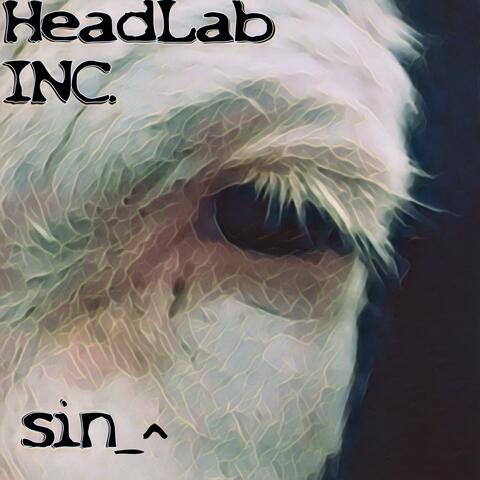 sin_^