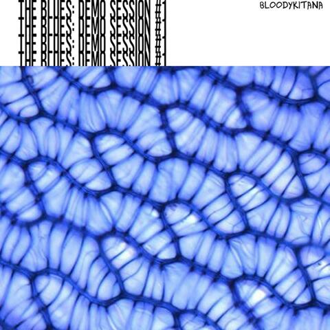 The Blues: Demo Session #1