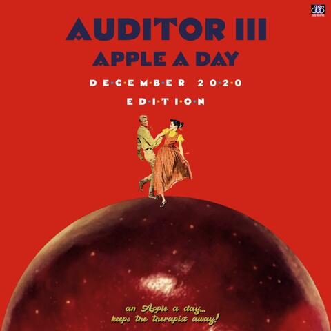 Auditor III