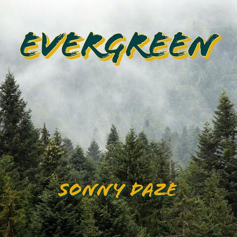 Evergreen