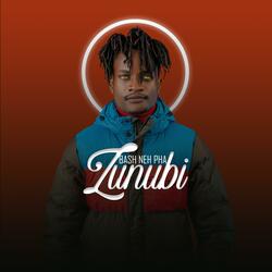 Zunubi