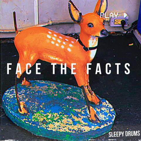 Face the Facts