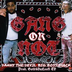 Gang Or Not (feat. Danny the Devil & Big Boss Mack)