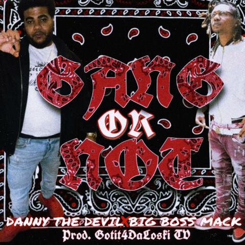 Gang Or Not (feat. Danny the Devil & Big Boss Mack)