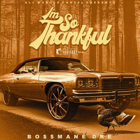 I'm So Thankful  (Instrumental)