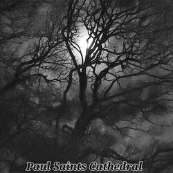 The Girl With No Name