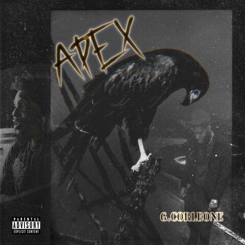 APEX