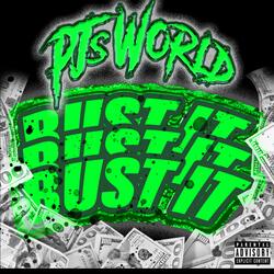 BUST IT