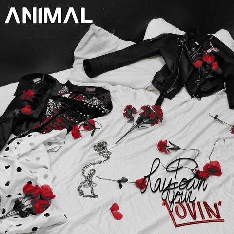 Lay Down Your Lovin'