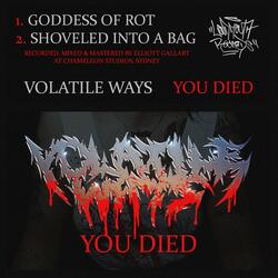 Shoveled Into A Bag