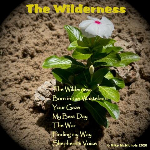 The Wilderness