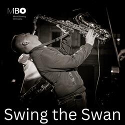 Swing the Swan
