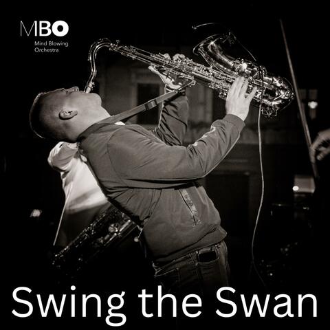 Swing the Swan
