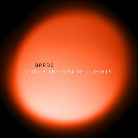 UNDER THE ORANGE LIGHTS