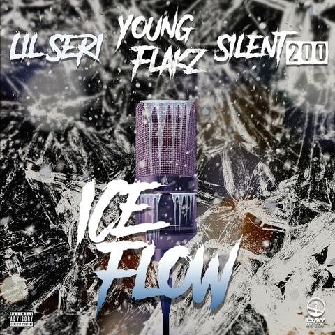 Ice Flow