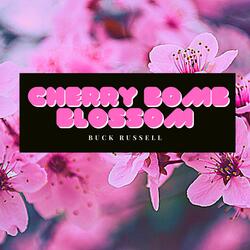 Cherrybomb Blossom