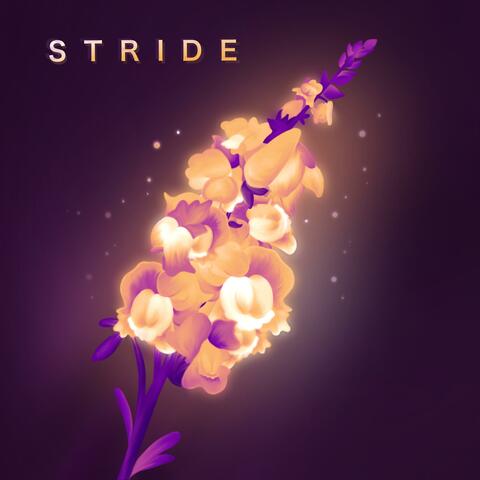 Stride
