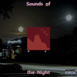The Night Gang