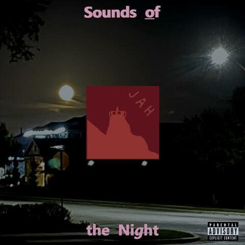 Sounds of the Night