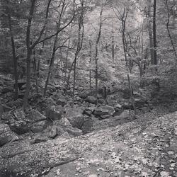 TightRope(DontStressYourself) (feat. Prod Tw)