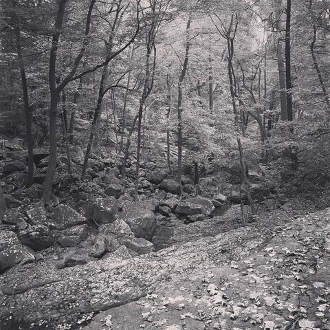 TightRope(DontStressYourself) (feat. Prod Tw)