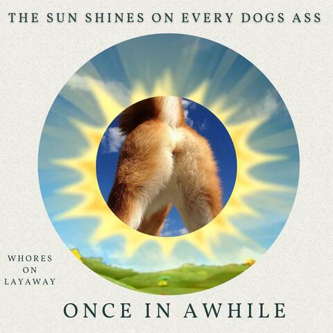 The Sun Shines on Every Dogs Ass.....Once in Awhile