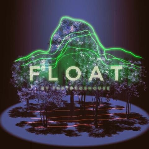 F L O A T