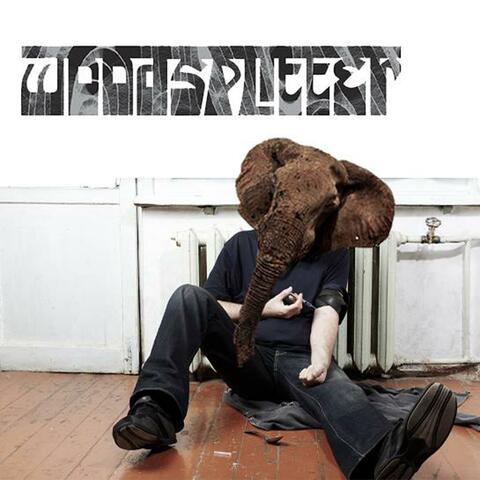 Taming the Elephant (live at the CRAS)