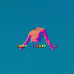 Sorry I Hurt You