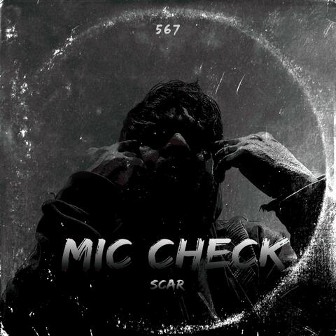 MIC CHECK