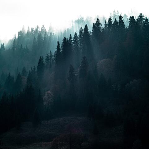 APPALACHIA