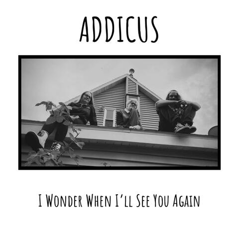 I Wonder When I'll See You Again
