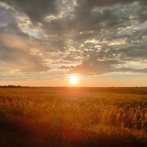 Another Ride on the Sun